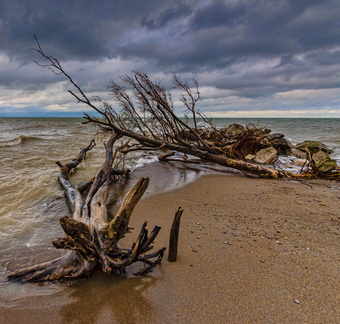 Point Pelee