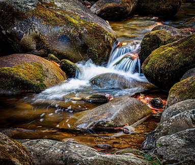 Tennessee Stream